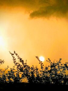 IMG 20190818 194215 EFFECTS