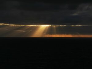 IMG 20260301