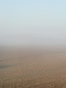 IMG 20250831