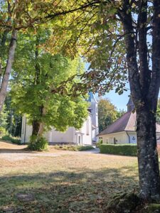 IMG 20260812
