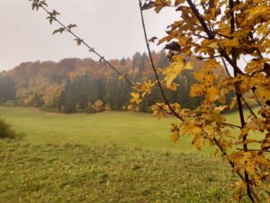 IMG 20201025 WA0003